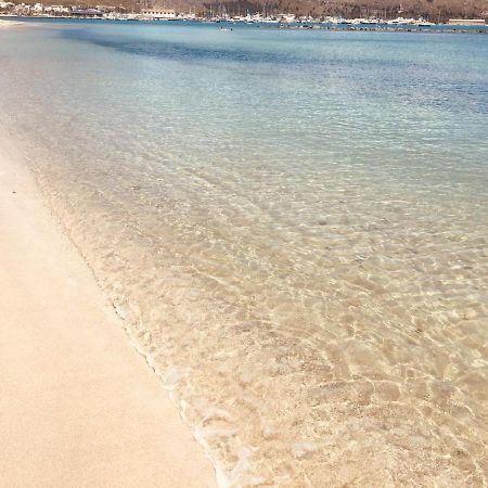 Tramuntana & Beach Pollensa Zewnętrze zdjęcie